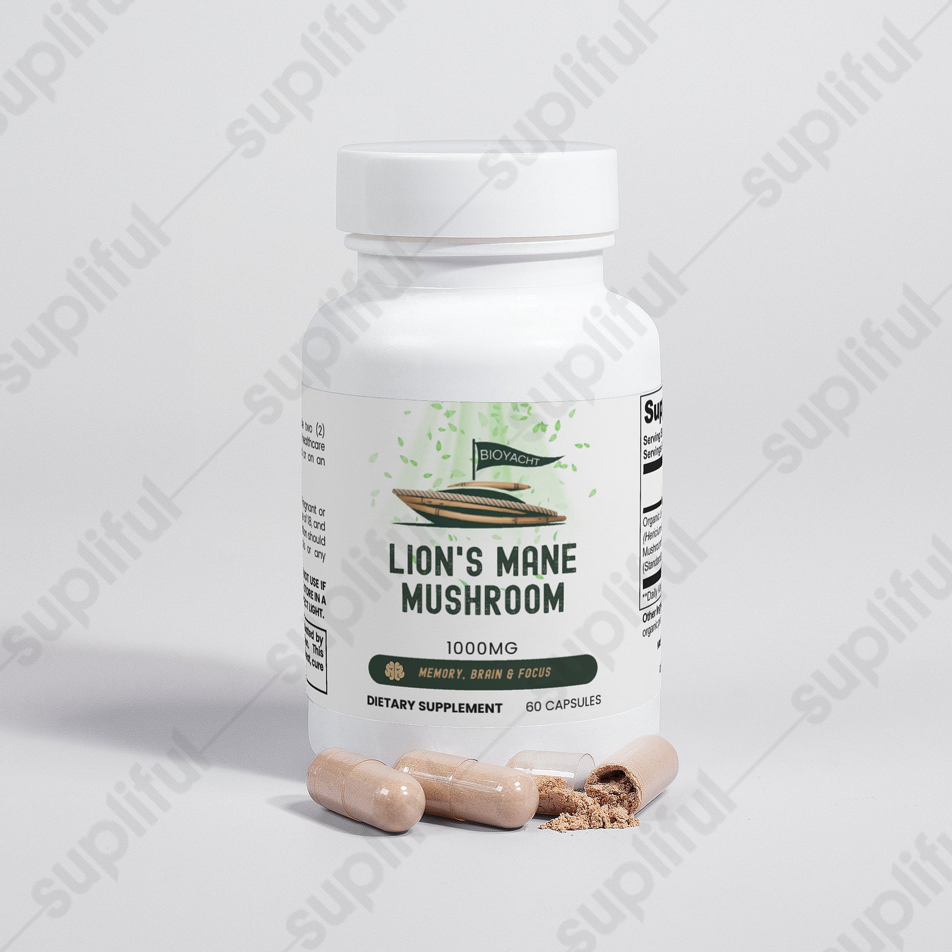 Lion's Mane Mushroom